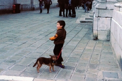 Маленький венецианец со своим питомцем